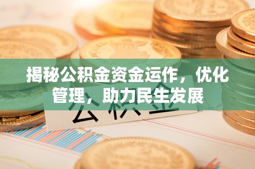 大悟揭秘公积金资金运作，优化管理，助力民生发展
