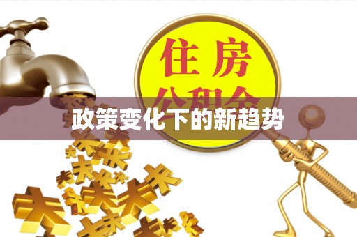 大悟政策变化下的新趋势