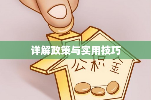 大悟详解政策与实用技巧