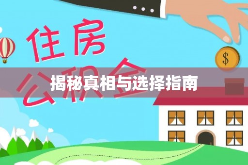 大悟揭秘真相与选择指南