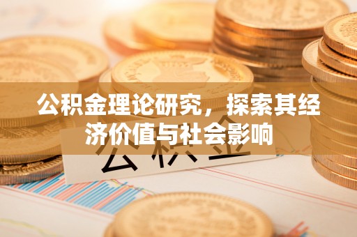 大悟公积金理论研究，探索其经济价值与社会影响