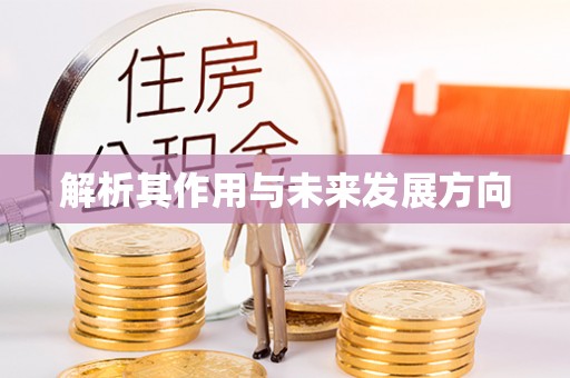 大悟解析其作用与未来发展方向