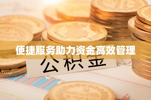 大悟便捷服务助力资金高效管理