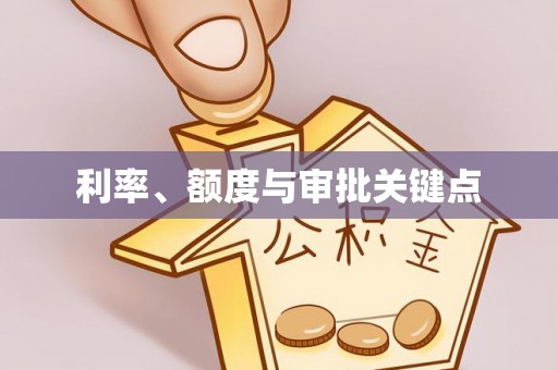 大悟利率、额度与审批关键点