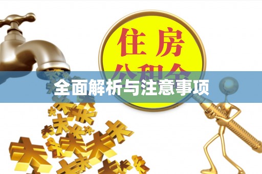 大悟全面解析与注意事项
