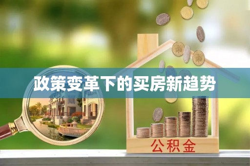 大悟政策变革下的买房新趋势