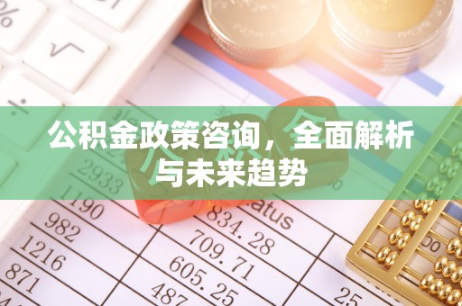 大悟公积金政策咨询，全面解析与未来趋势