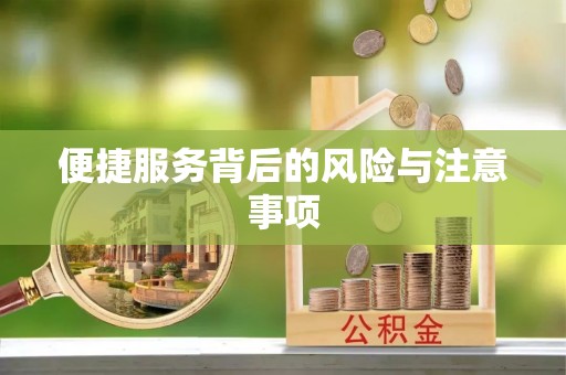 大悟便捷服务背后的风险与注意事项